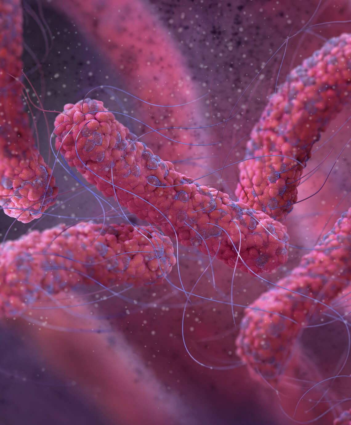 Gastronomie-Renovierungen Berlin: Restaurants, Bars und Kantinen