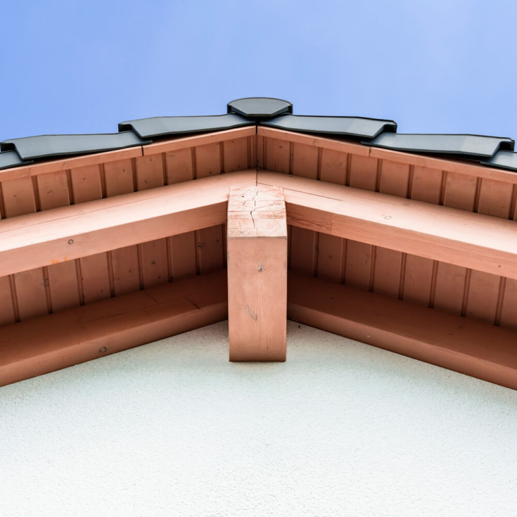 Holzschutzanstriche und Holzschutzarbeiten in Berlin